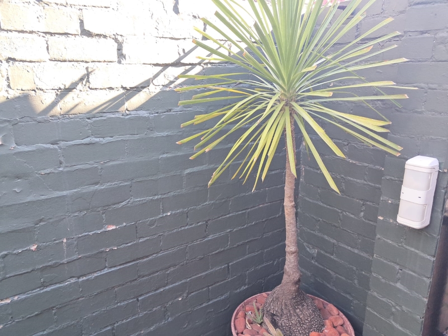 3 Bedroom Property for Sale in Flamingo Park Free State